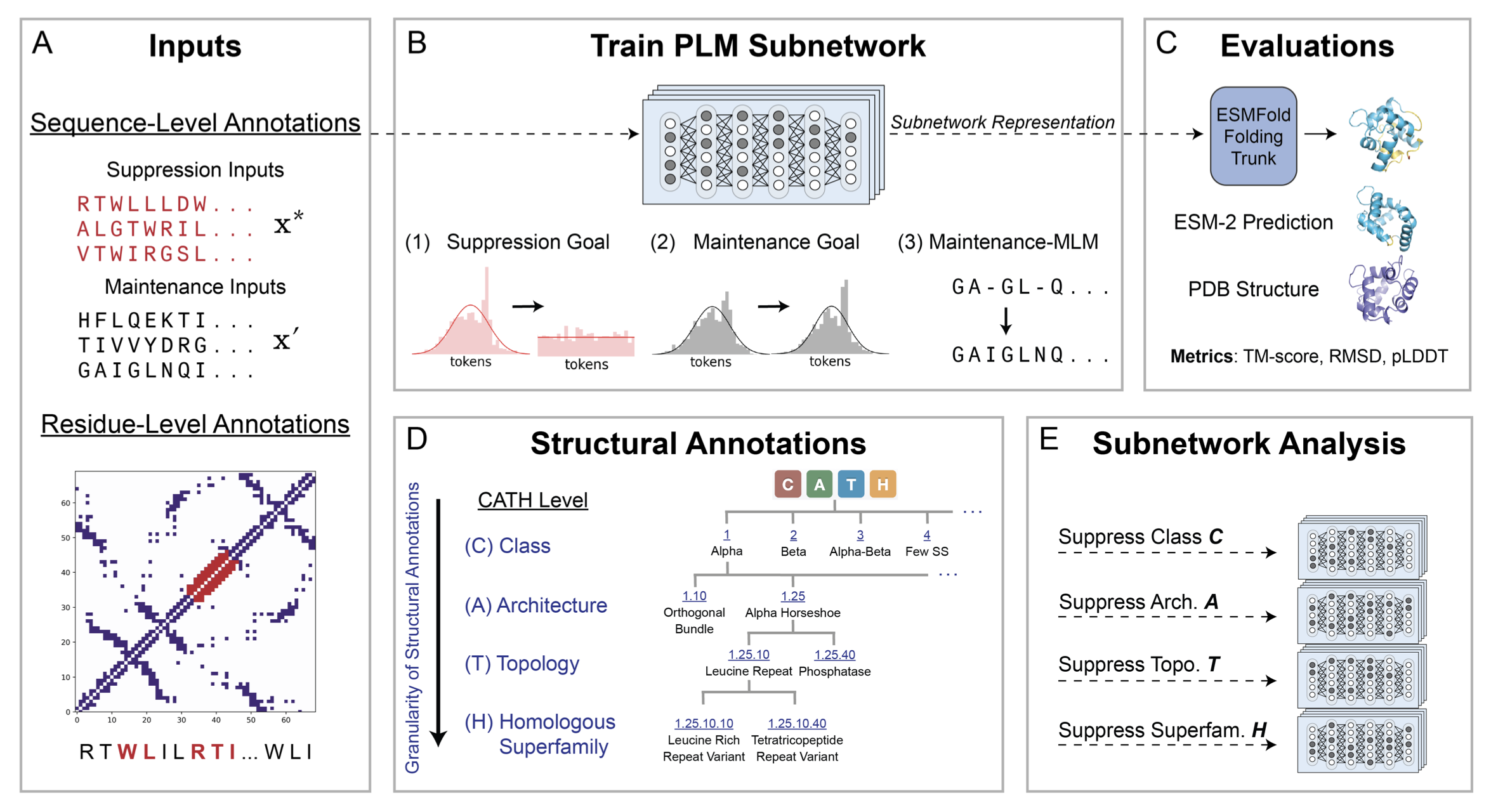 Subnetworks paper